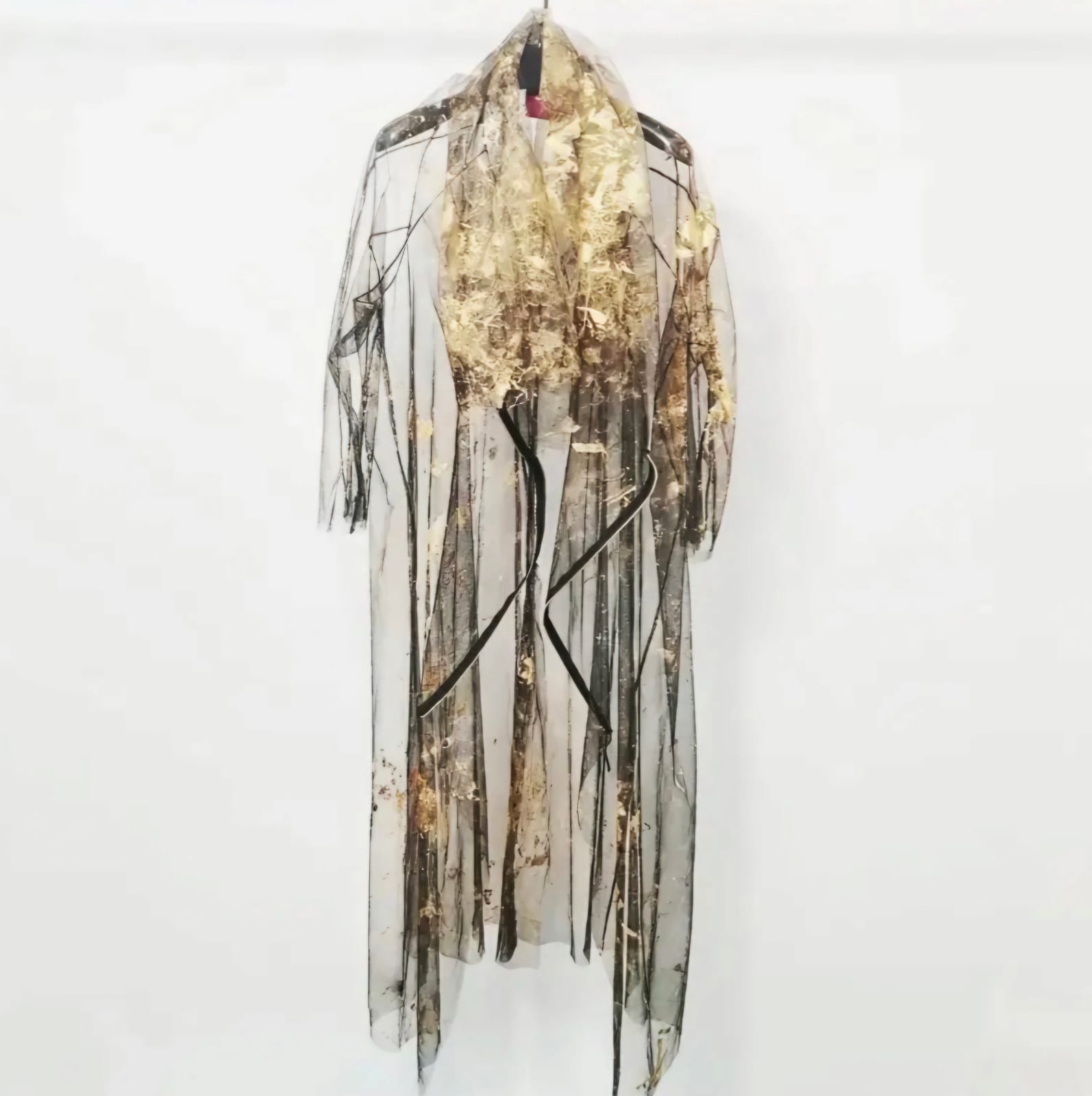 Voile Doré Coat